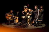 Фламенко (Flamenco)