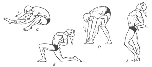 Упражнения для развития гибкости