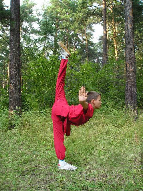Позиции ушу таолу