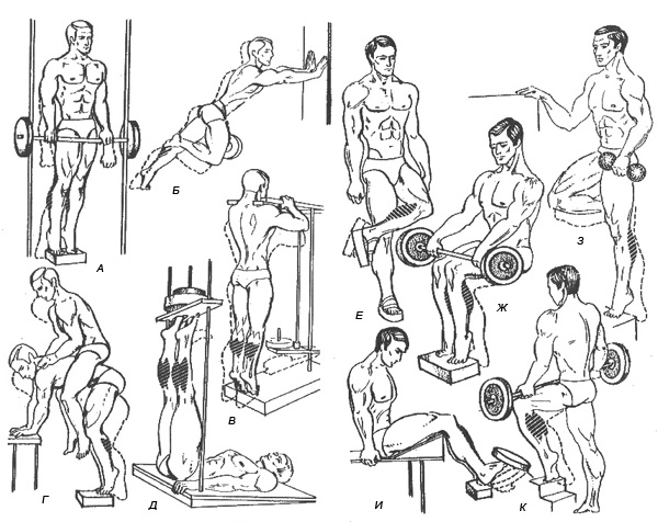 Упражнения для икроножных мышц