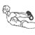 Упражнения для длинных мышц спины