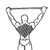 Упражнения для широчайшей мышцы спины